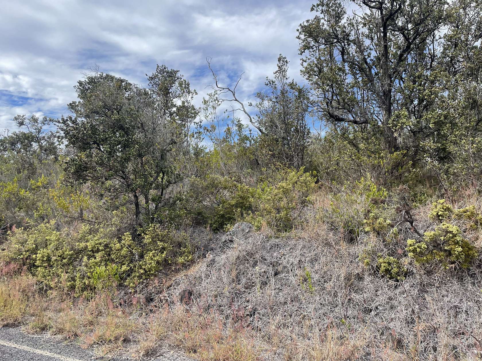 1 Acre of Land for Sale in Hawaiian Ocean View, Hawaii