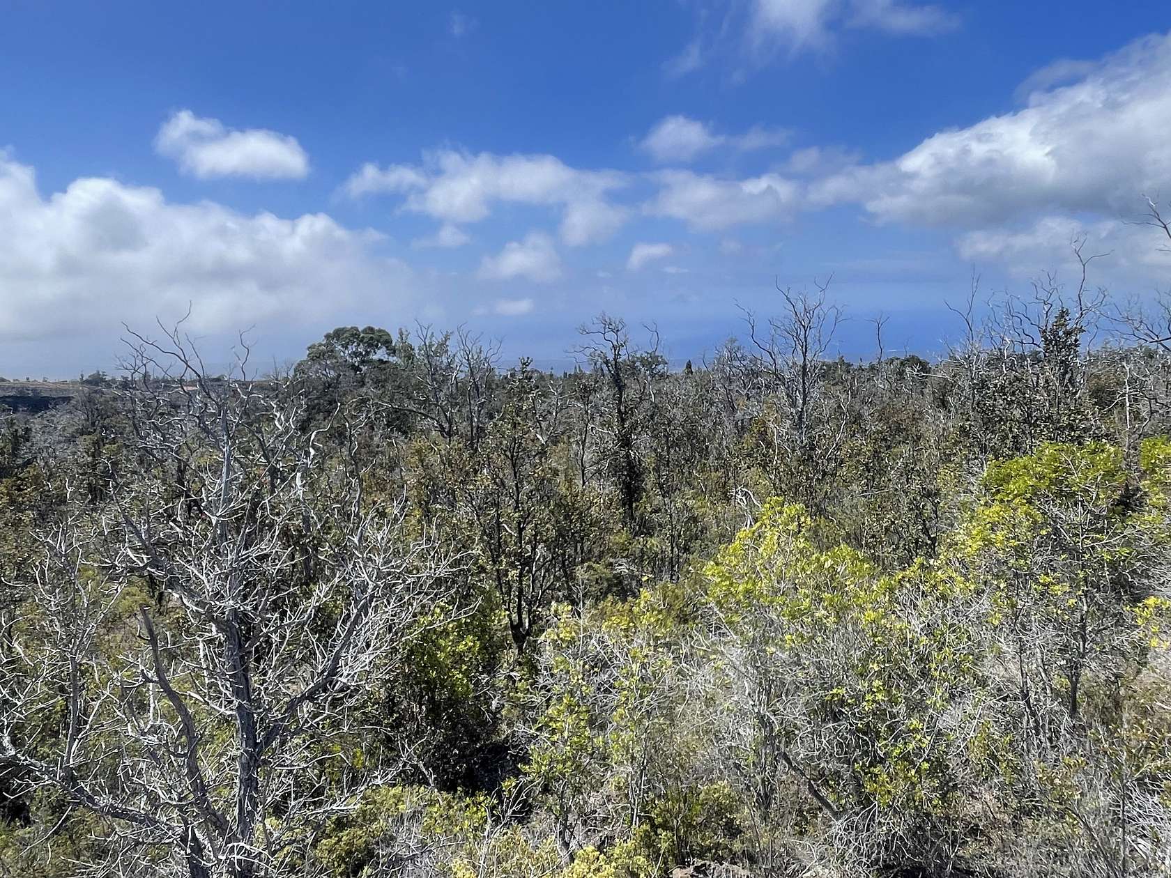 1 Acre of Land for Sale in Hawaiian Ocean View, Hawaii