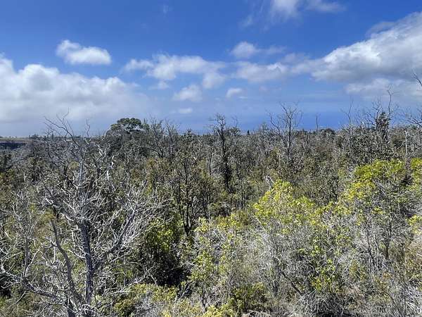 1 Acre of Land for Sale in Hawaiian Ocean View, Hawaii