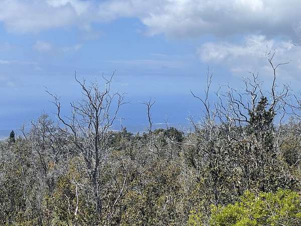1 Acre of Land for Sale in Hawaiian Ocean View, Hawaii