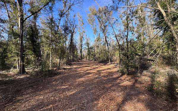 5 Acres of Land for Sale in Live Oak, Florida