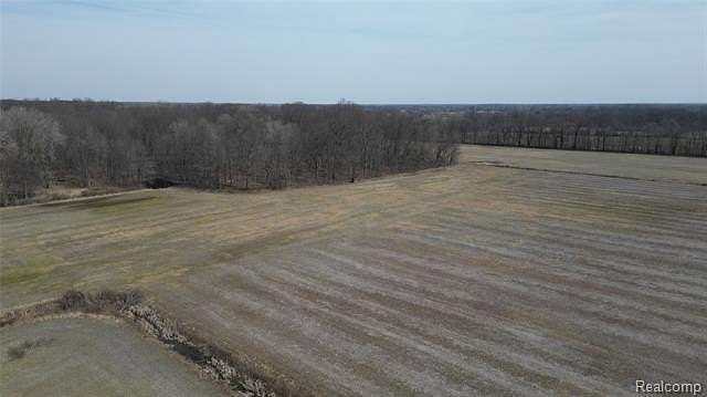 66.7 Acres of Land for Sale in Ray Township, Michigan
