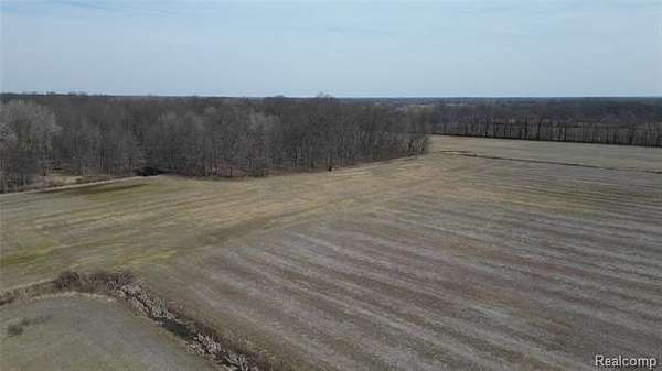 66.7 Acres of Land for Sale in Ray Township, Michigan