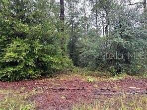 0.46 Acres of Residential Land for Sale in Morriston, Florida