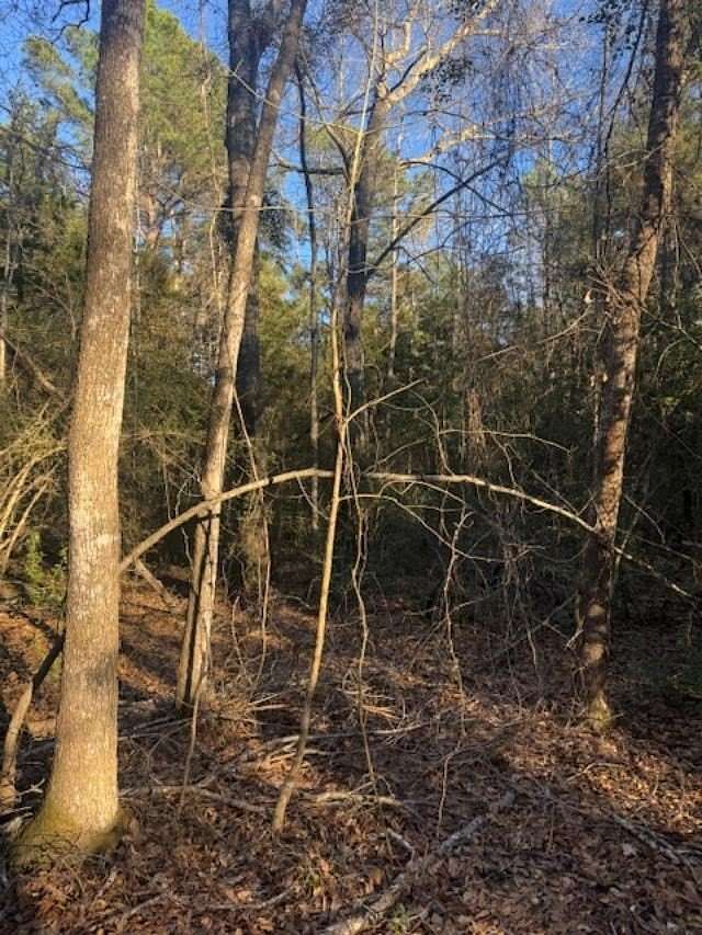 17.4 Acres of Recreational Land for Sale in Elkhart, Texas