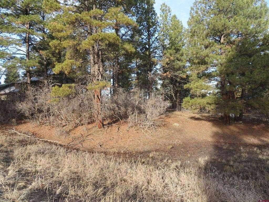 0.34 Acres of Residential Land for Sale in Pagosa Springs, Colorado