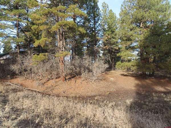 0.34 Acres of Residential Land for Sale in Pagosa Springs, Colorado
