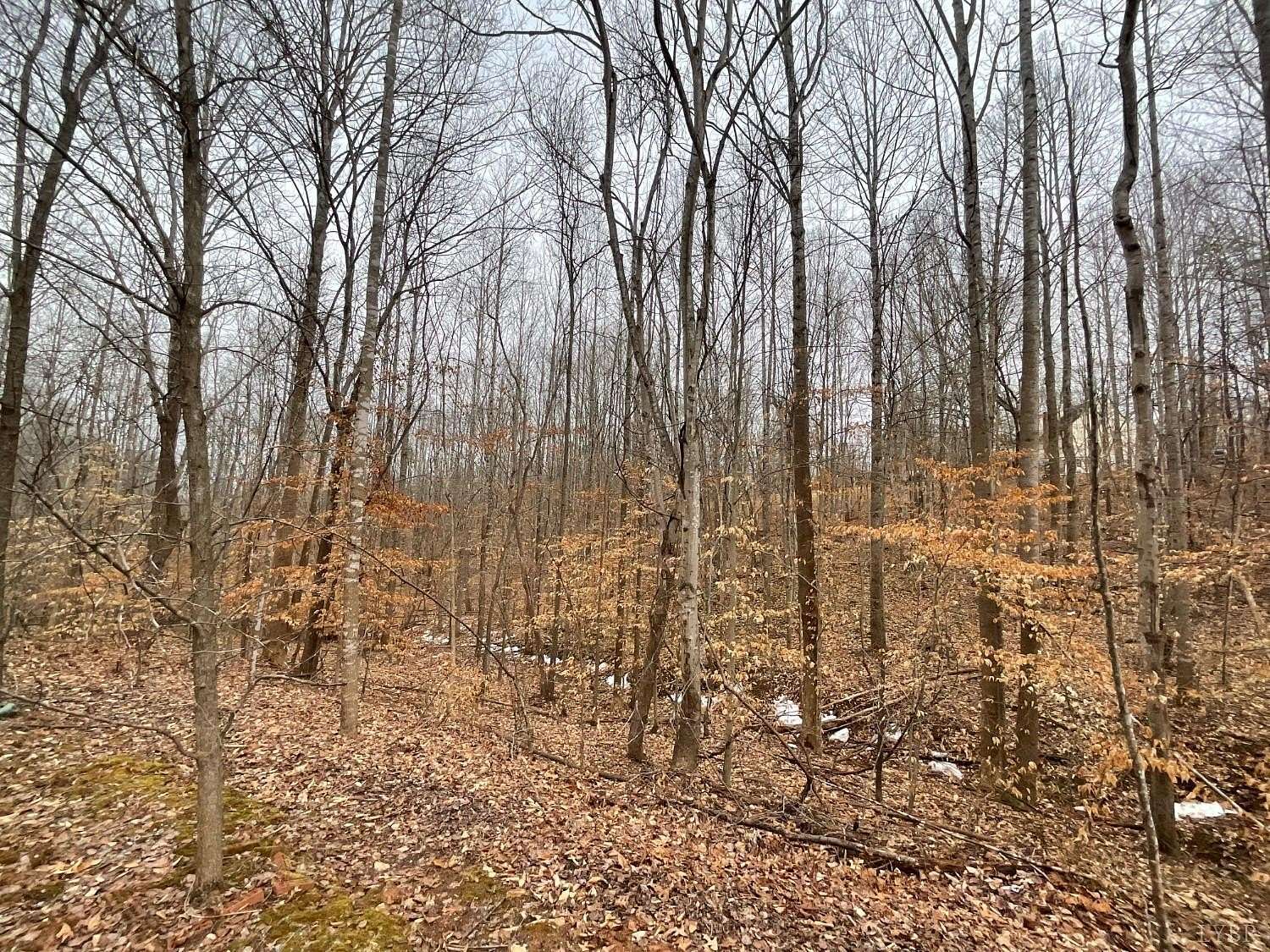 7.54 Acres of Residential Land for Sale in Monroe, Virginia