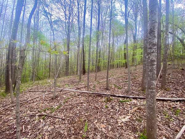7.54 Acres of Residential Land for Sale in Monroe, Virginia