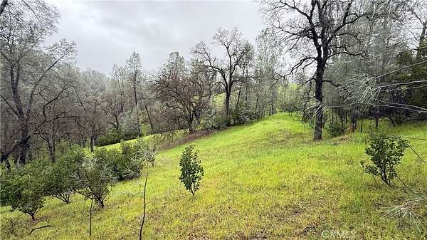 2.24 Acres of Residential Land for Sale in Corning, California