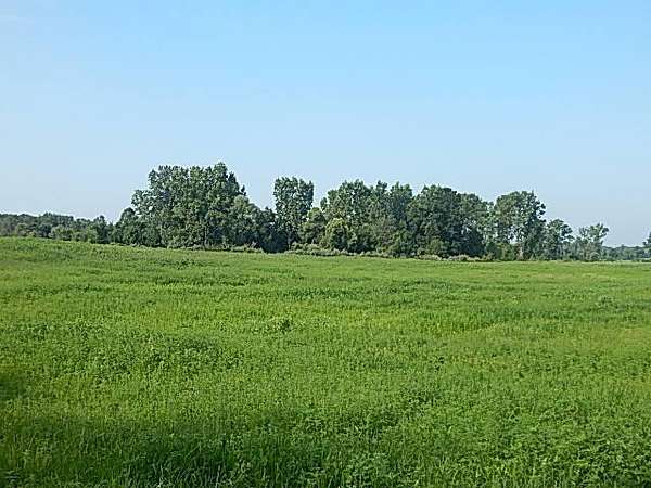 68.3 Acres of Land for Sale in St. Johns, Michigan