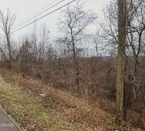 1 Acre of Residential Land for Sale in Dandridge, Tennessee