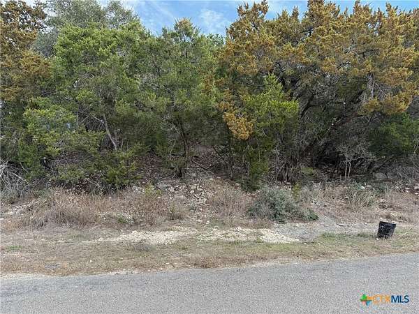 0.25 Acres of Residential Land for Sale in Canyon Lake, Texas