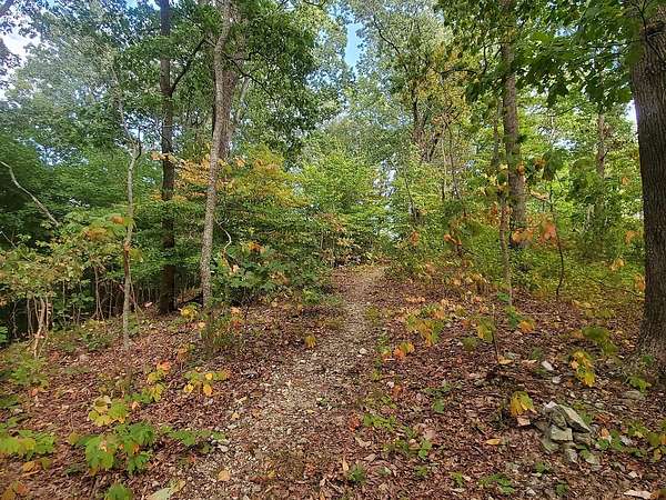 3 Acres of Residential Land for Sale in Nashville, Tennessee