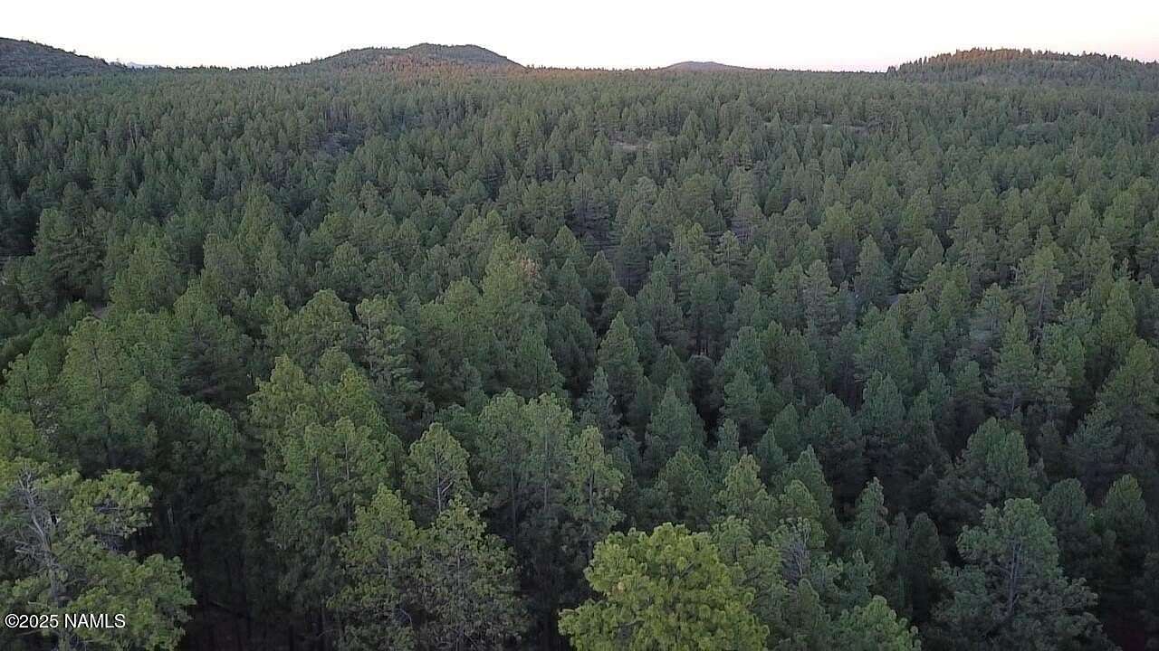 6.62 Acres of Residential Land for Sale in Williams, Arizona