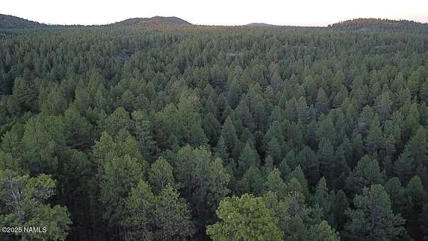 6.62 Acres of Residential Land for Sale in Williams, Arizona