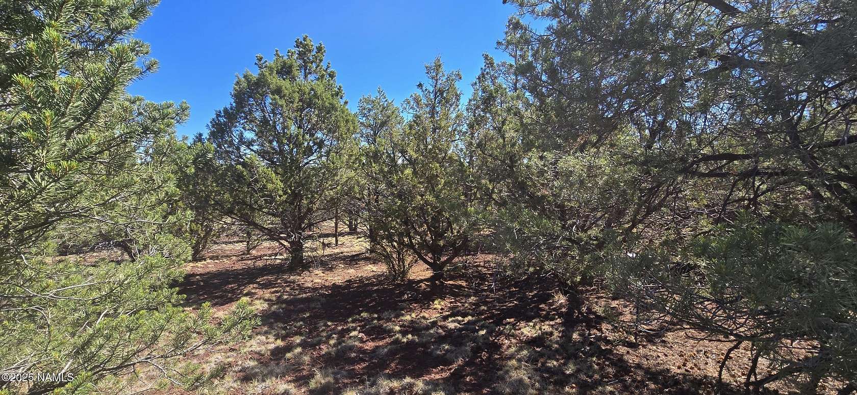 1 Acre of Residential Land for Sale in Williams, Arizona