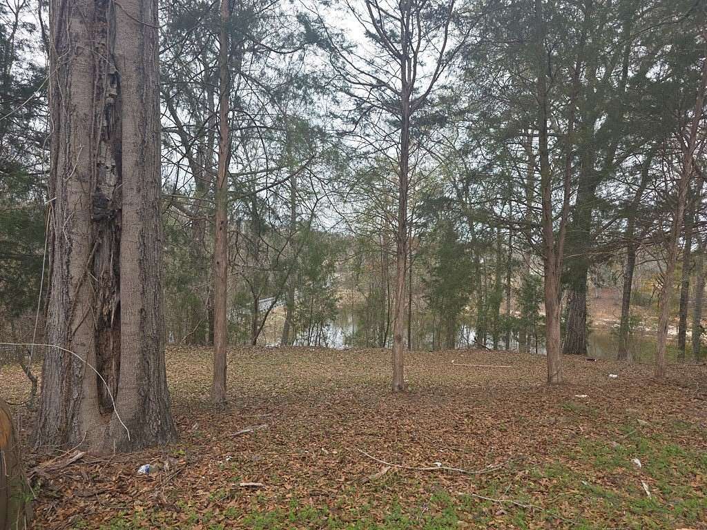 0.65 Acres of Residential Land for Sale in Georgetown, Georgia
