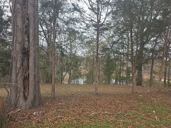 0.65 Acres of Residential Land for Sale in Georgetown, Georgia