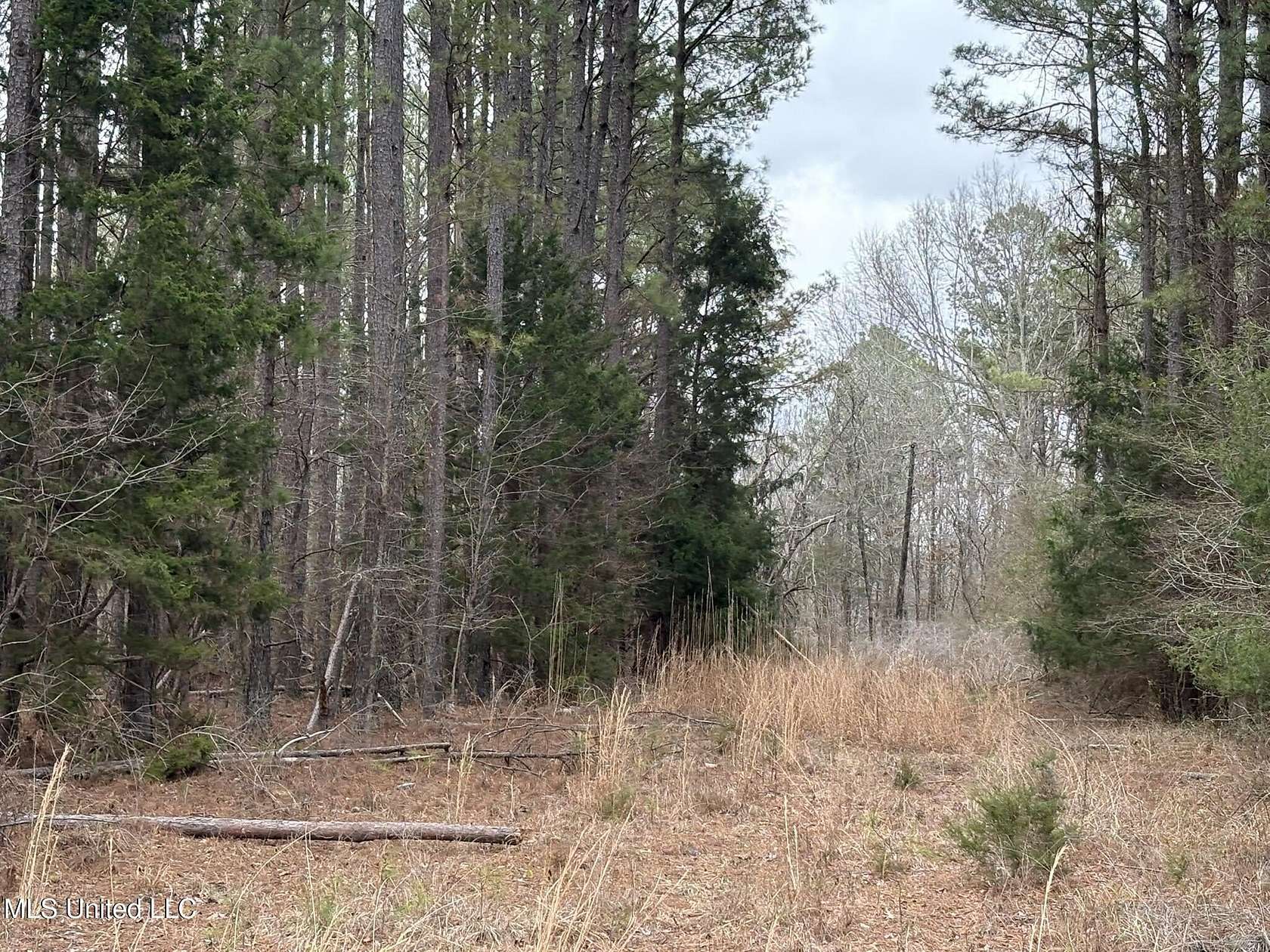 25 Acres of Recreational & Residential Land for Sale in Kosciusko, Mississippi