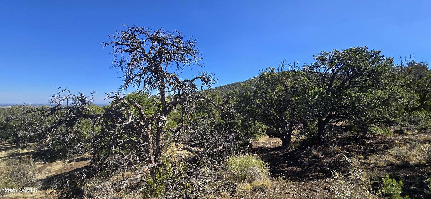 10.8 Acres of Land for Sale in Williams, Arizona