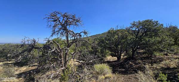 10.8 Acres of Land for Sale in Williams, Arizona