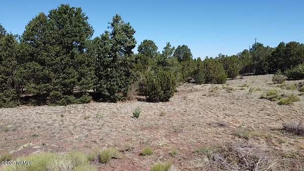 1 Acre of Land for Sale in Williams, Arizona