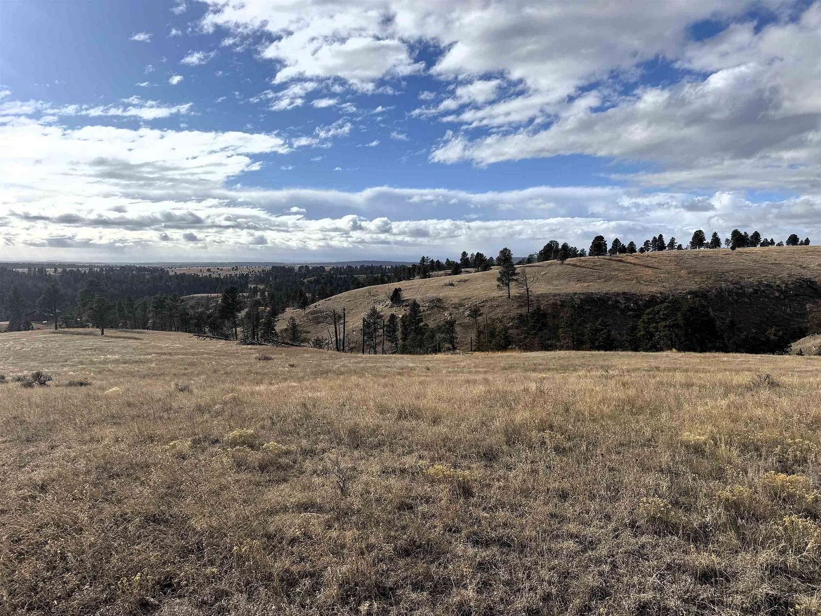35 Acres of Land for Sale in Pine Haven, Wyoming
