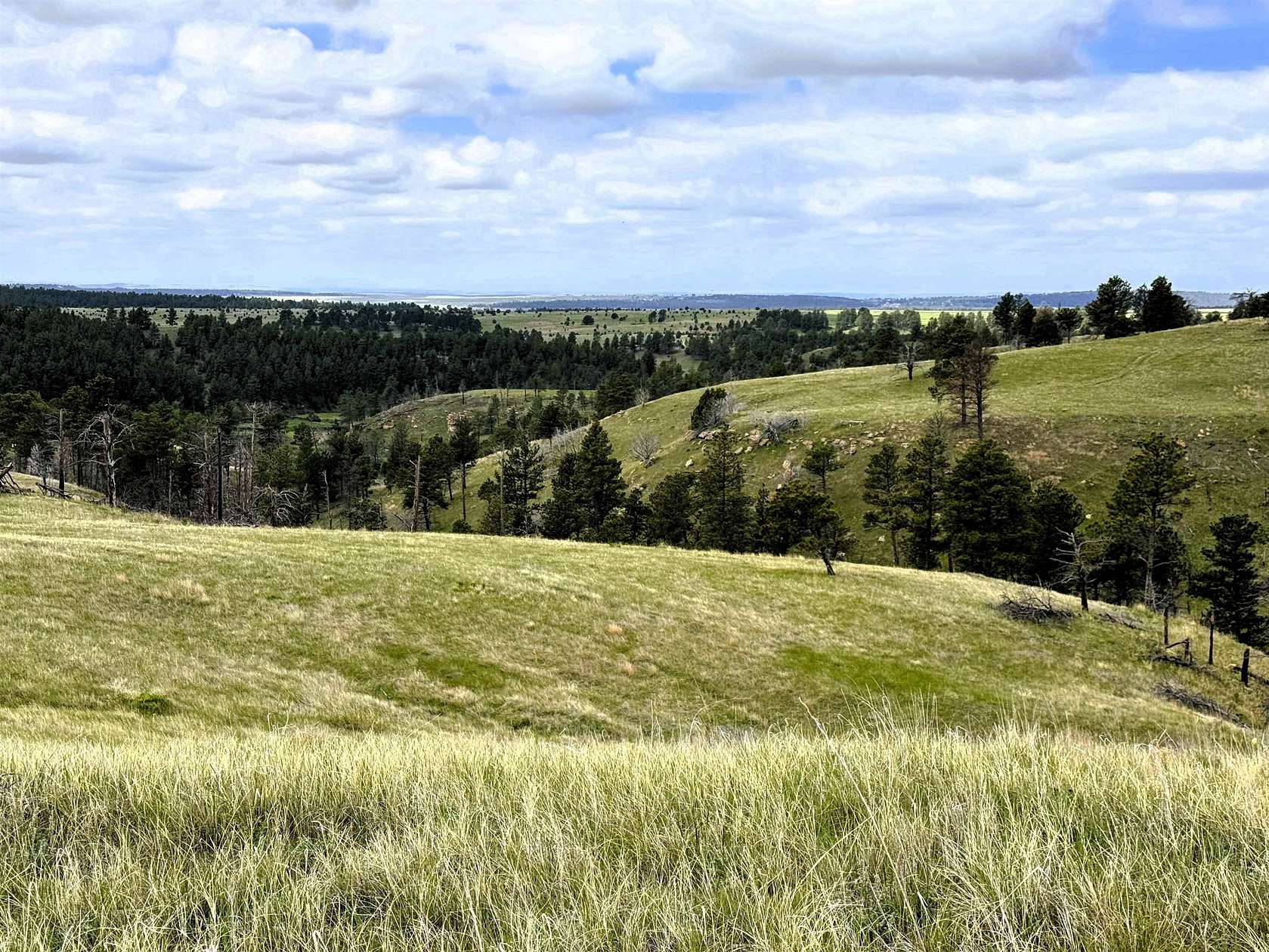 35 Acres of Land for Sale in Pine Haven, Wyoming