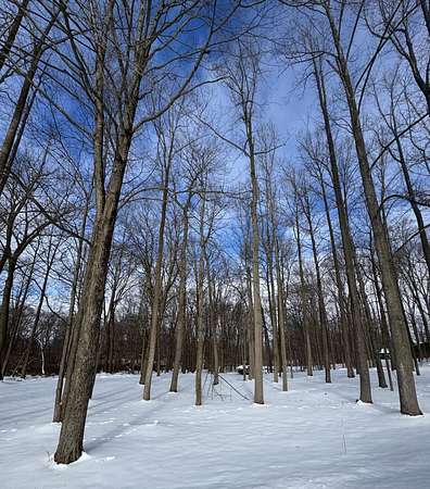 1 Acre of Land for Sale in Jones, Michigan