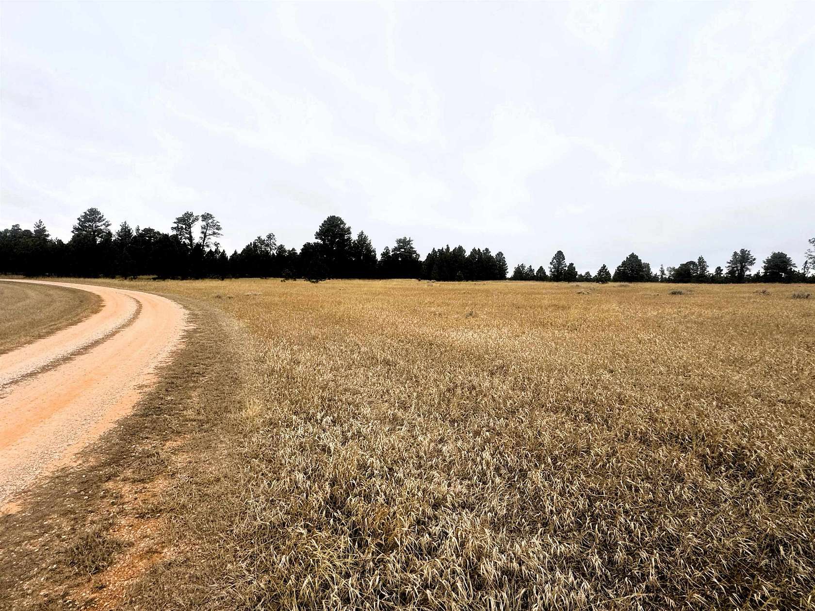 35 Acres of Recreational & Residential Land for Sale in Sundance, Wyoming