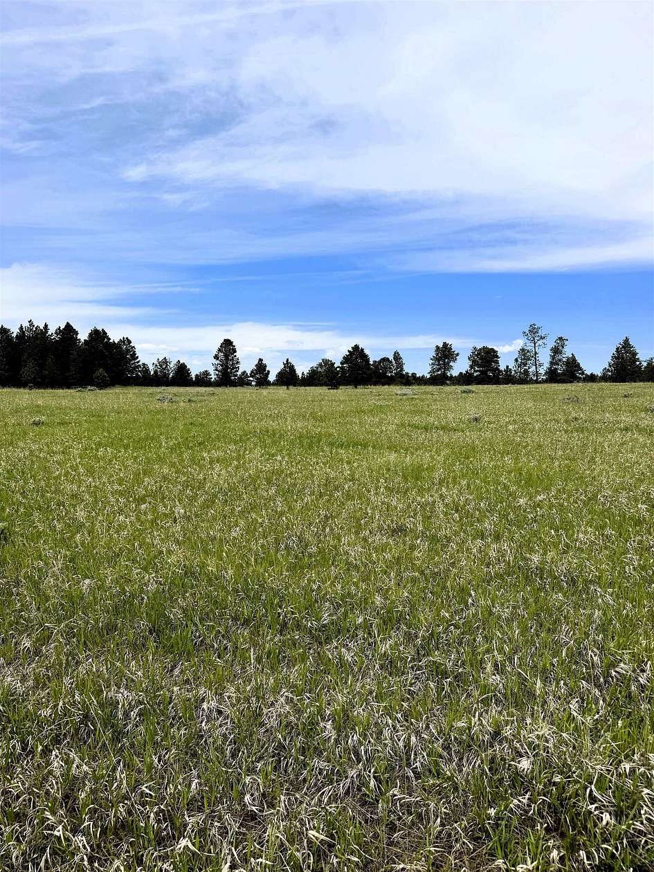 35 Acres of Recreational & Residential Land for Sale in Sundance, Wyoming