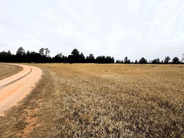 35 Acres of Recreational & Residential Land for Sale in Sundance, Wyoming