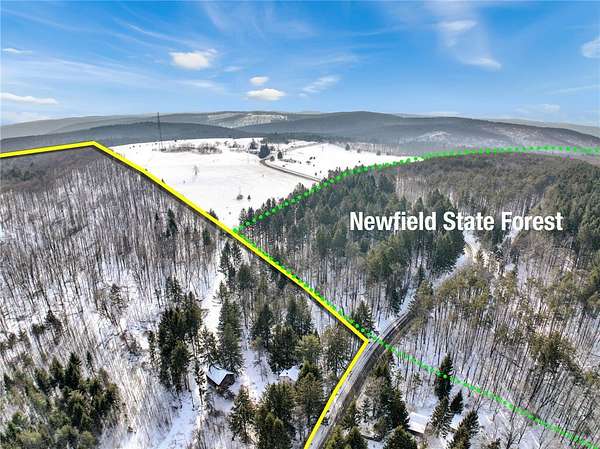 133 Acres of Improved Recreational Land for Sale in Newfield, New York