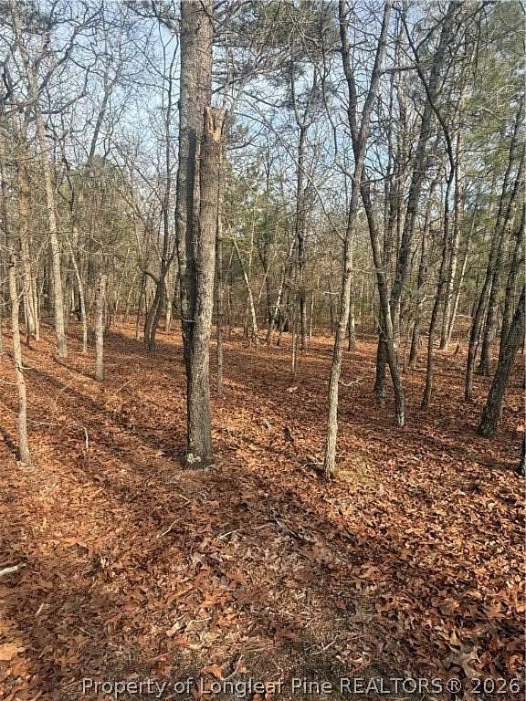 3 Acres of Land for Sale in Raeford, North Carolina