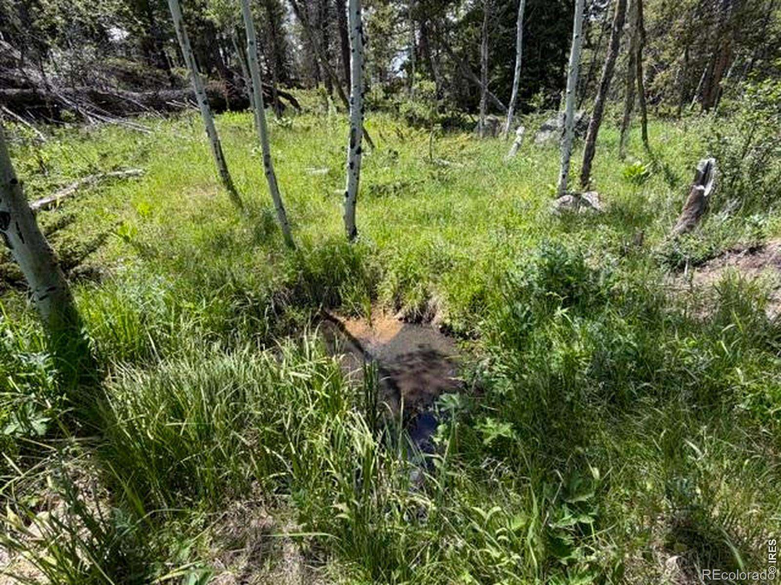2.39 Acres of Residential Land for Sale in Red Feather Lakes, Colorado