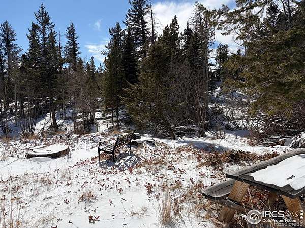 2.39 Acres of Residential Land for Sale in Red Feather Lakes, Colorado