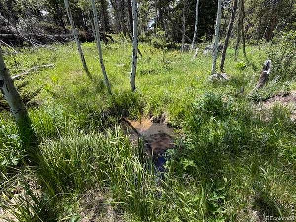 2.39 Acres of Residential Land for Sale in Red Feather Lakes, Colorado