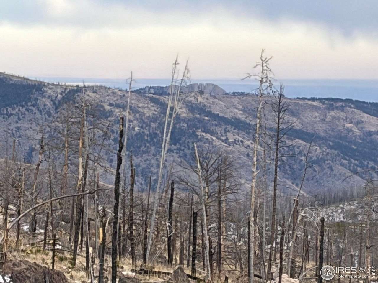 41 Acres of Recreational Land for Sale in Bellvue, Colorado