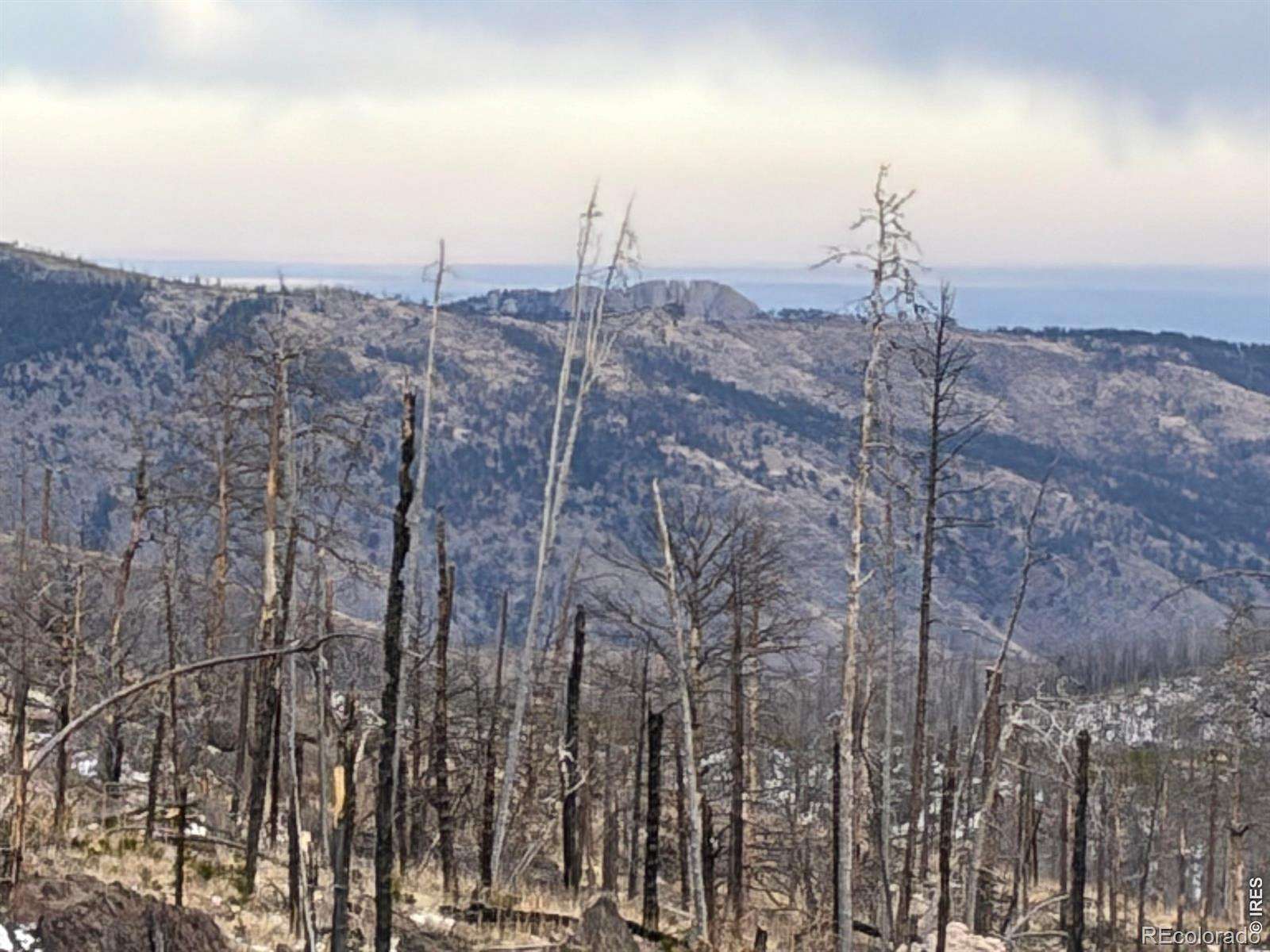 41 Acres of Recreational Land for Sale in Bellvue, Colorado