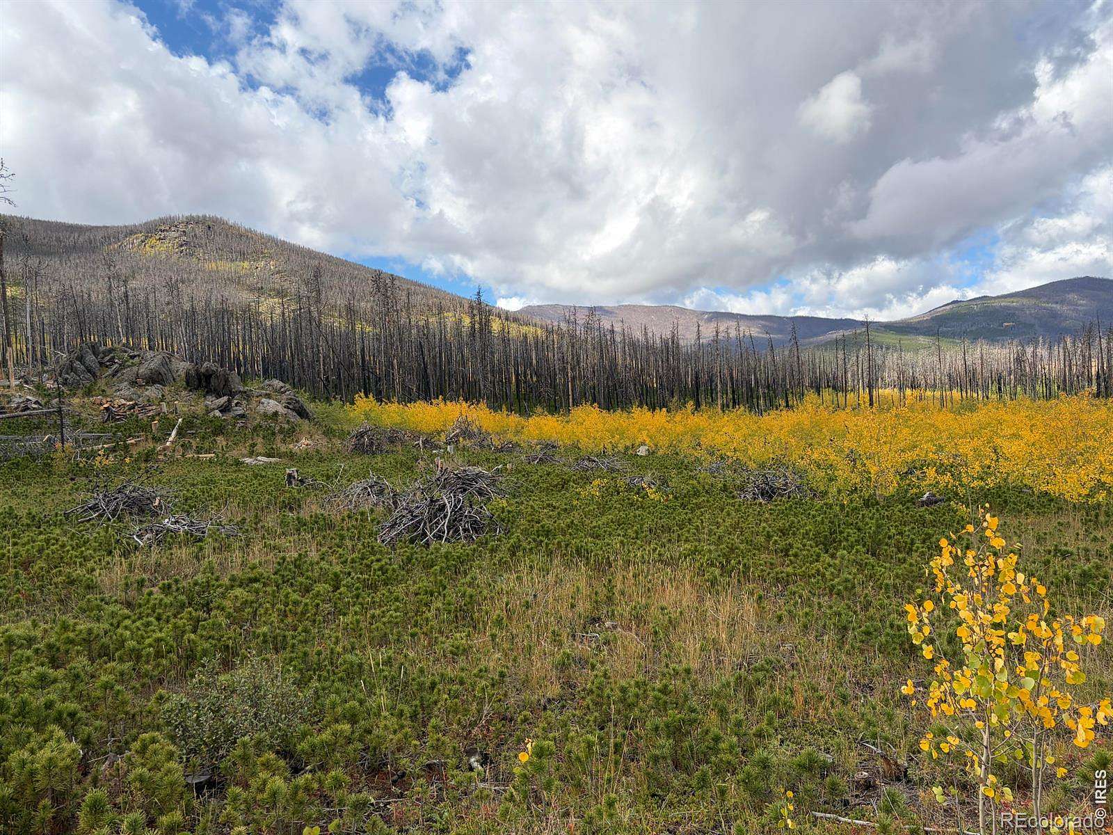 41 Acres of Recreational Land for Sale in Bellvue, Colorado