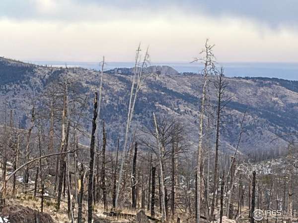 41 Acres of Recreational Land for Sale in Bellvue, Colorado