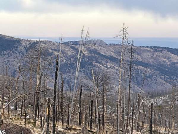 41 Acres of Recreational Land for Sale in Bellvue, Colorado