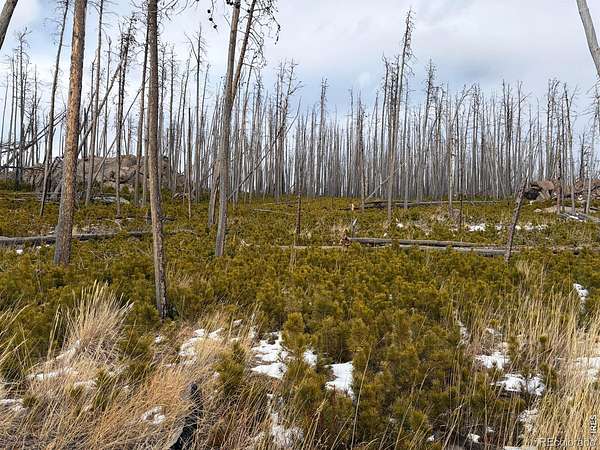 41 Acres of Recreational Land for Sale in Bellvue, Colorado