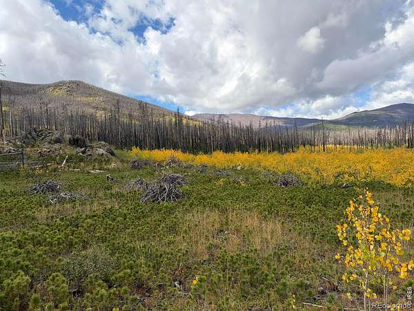 41 Acres of Recreational Land for Sale in Bellvue, Colorado