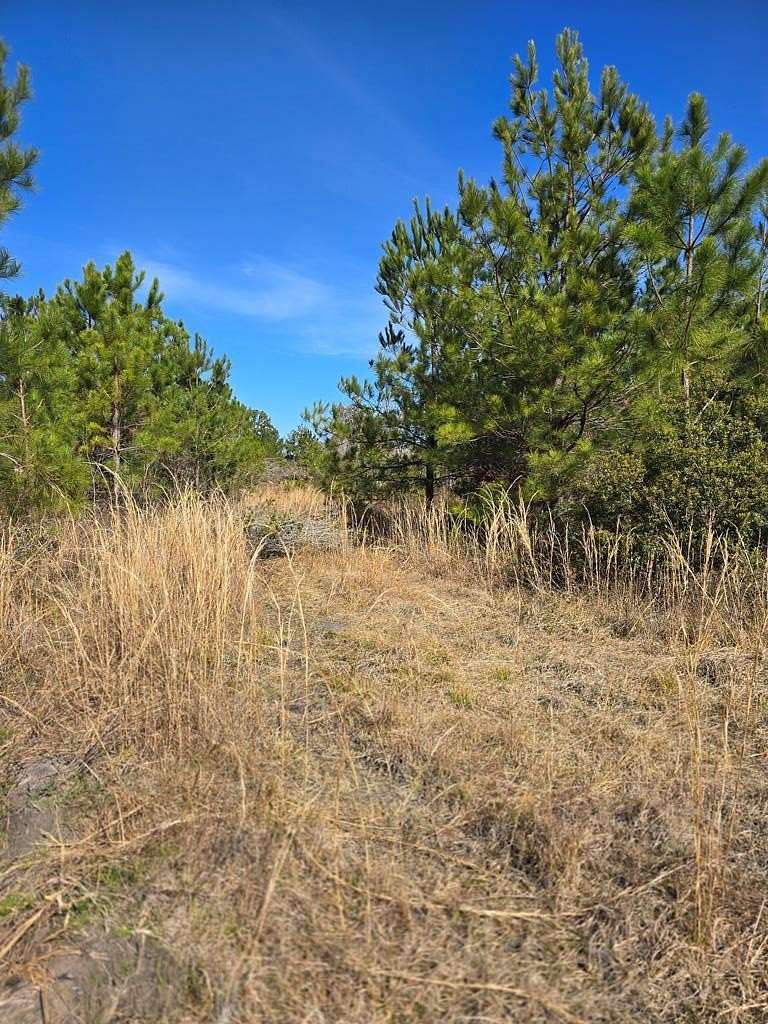 12 Acres of Land for Sale in Naylor, Georgia
