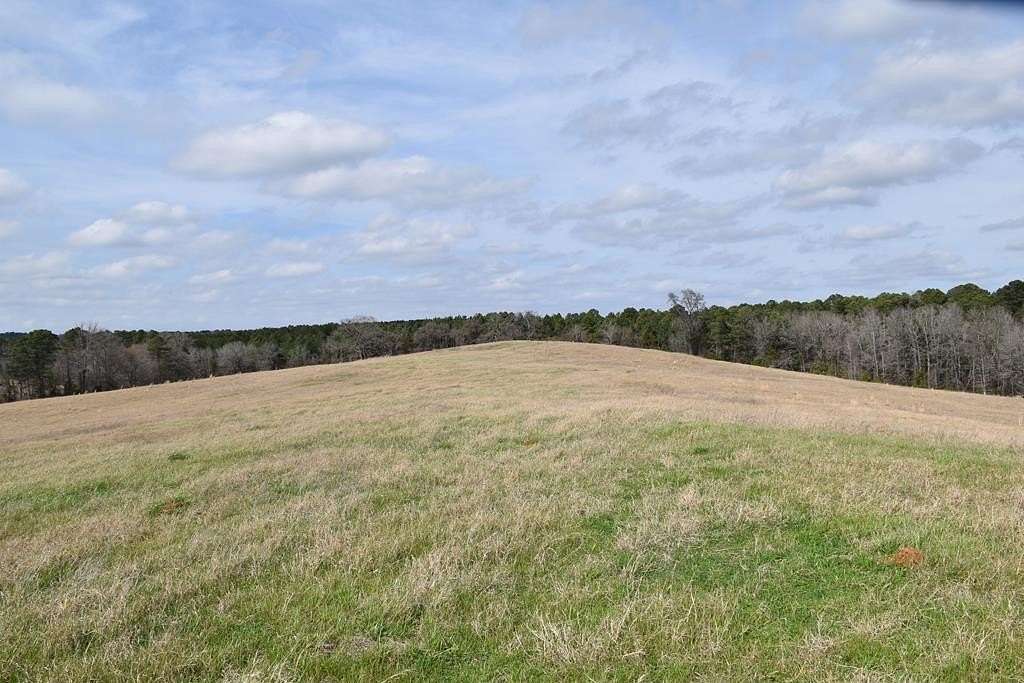 33 Acres of Recreational & Residential Land for Sale in Palestine, Texas
