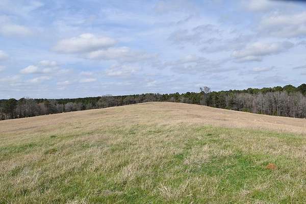 33 Acres of Land for Sale in Palestine, Texas