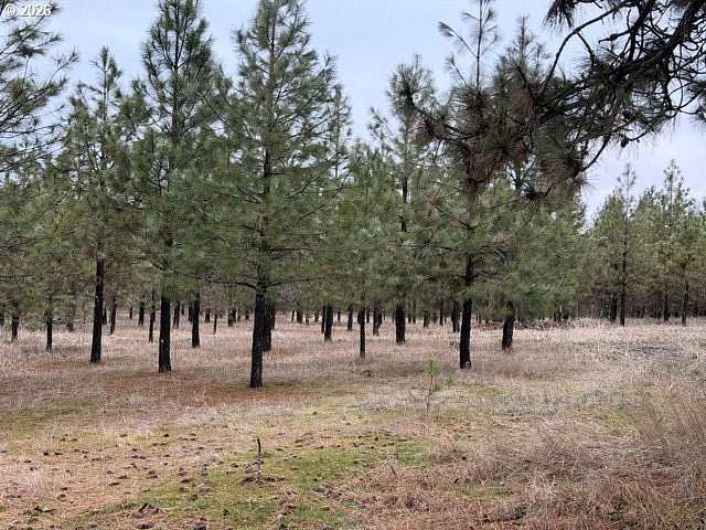 34.7 Acres of Recreational Land for Sale in Goldendale, Washington