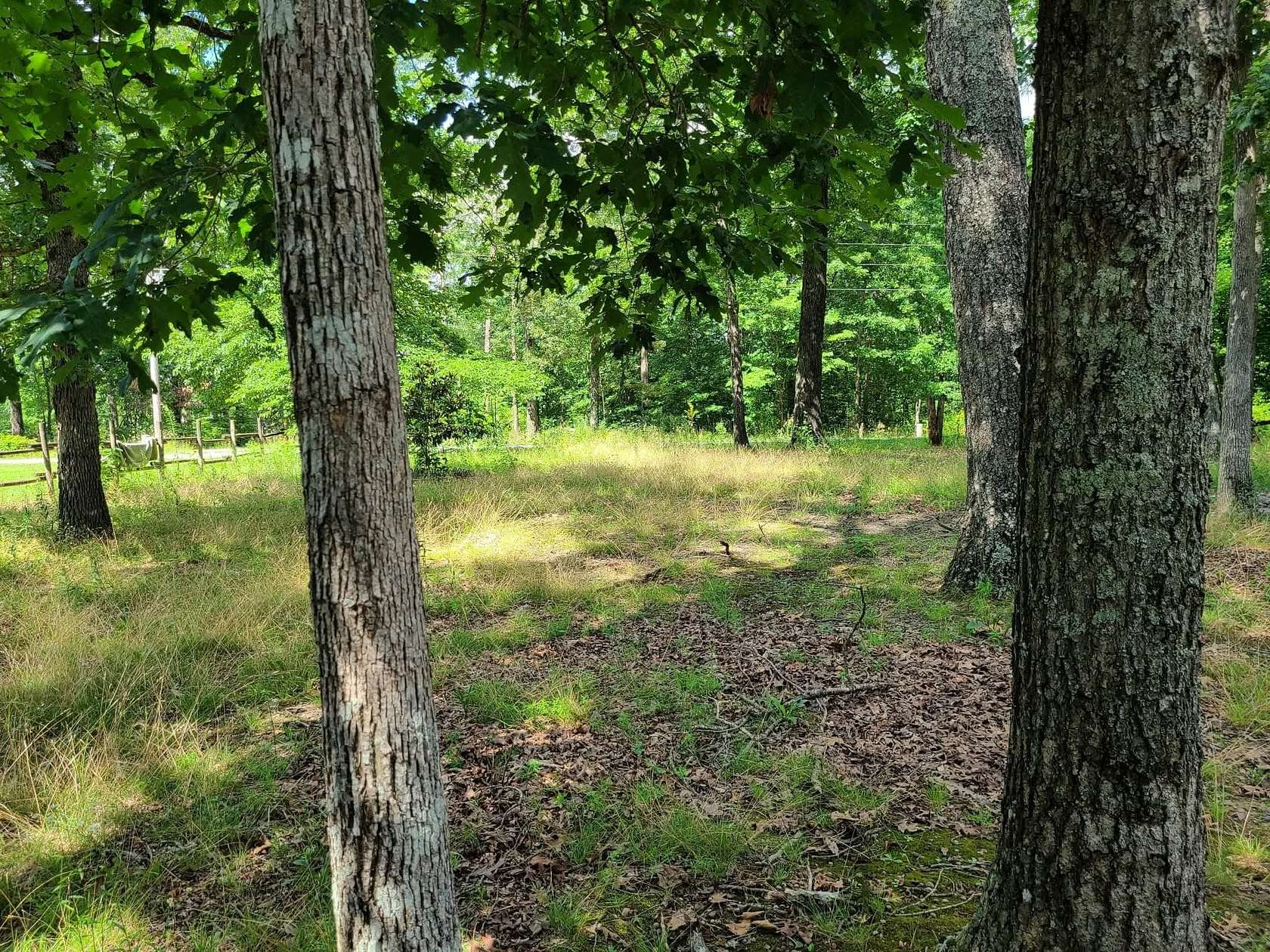 0.72 Acres of Residential Land for Sale in Beechgrove, Tennessee